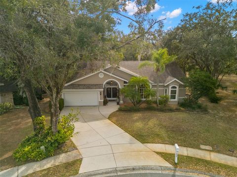 Photo of 3734 Thornbush Lane, New Port Richey, FL 34655 (MLS # TB8451445)