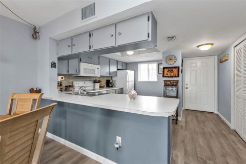 A home in PUNTA GORDA