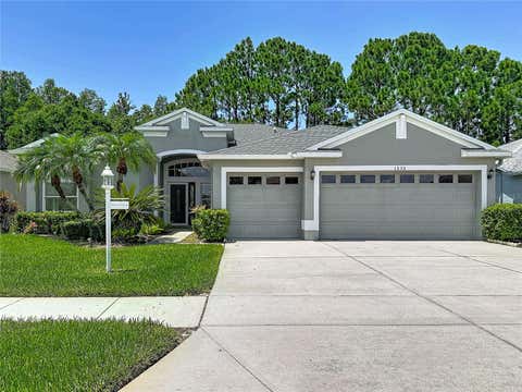 Photo of 1535 Morning Rose Place, Trinity, FL 34655 (MLS # TB8535097)
