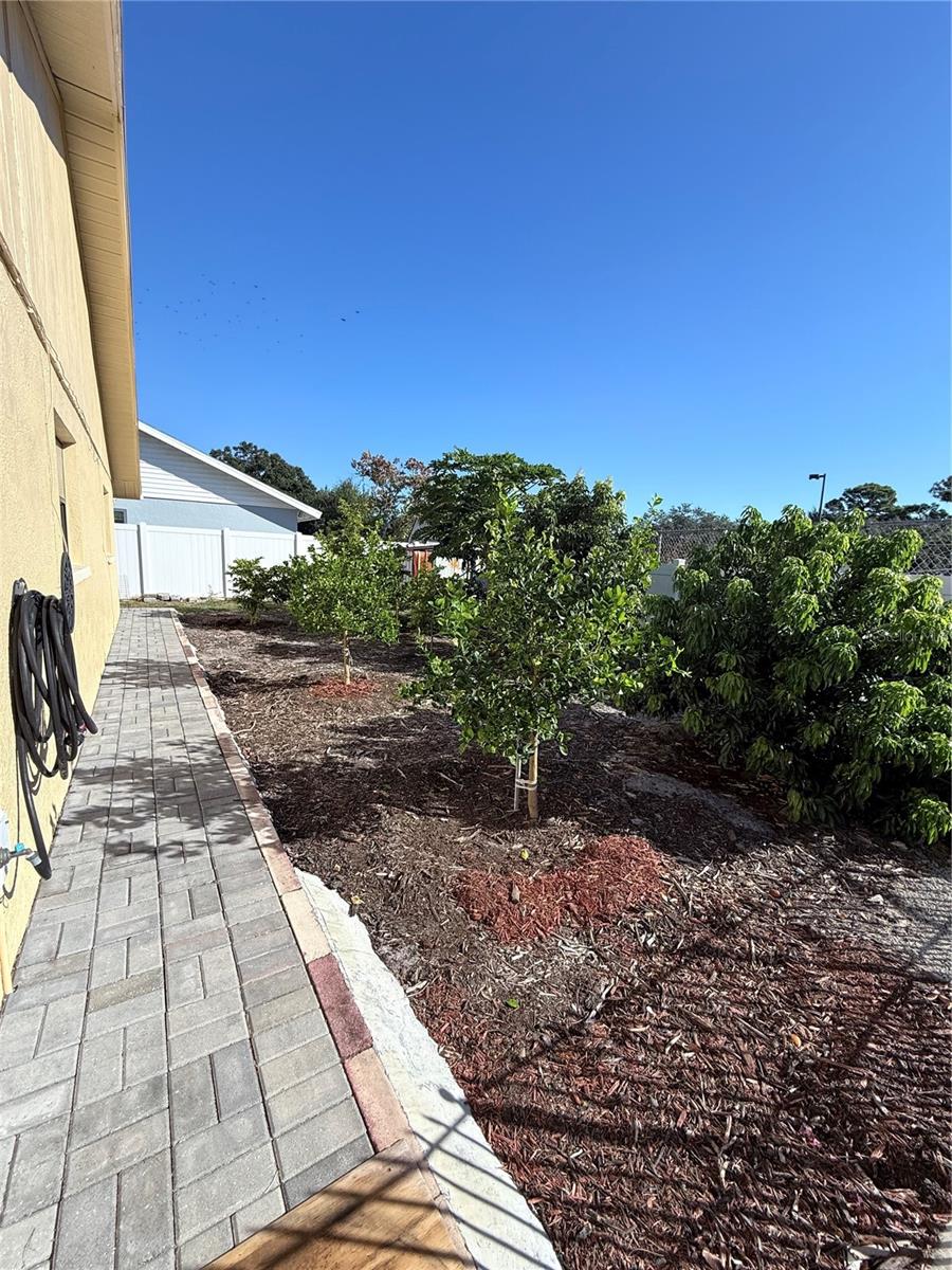 MAGNOLIA PLACE SUB - Residential Lease