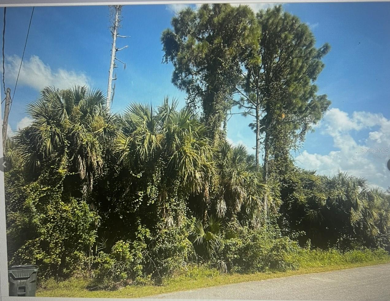Fantastic opportunity to build your dream home in the growing city of North Port ,located nestled between two well maintained homes in a rapidly developing neighborhood,enjoy the perfect blend of privacy and community with no HOA RESTRICTION.