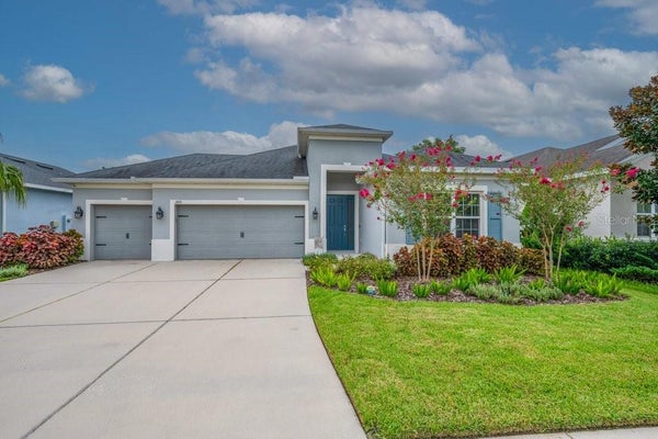 17651 BRIGHT WHEAT DR, LITHIA, FL 33547 - Image df8251023a59c788d7c36aefecfe6cee/2890487901