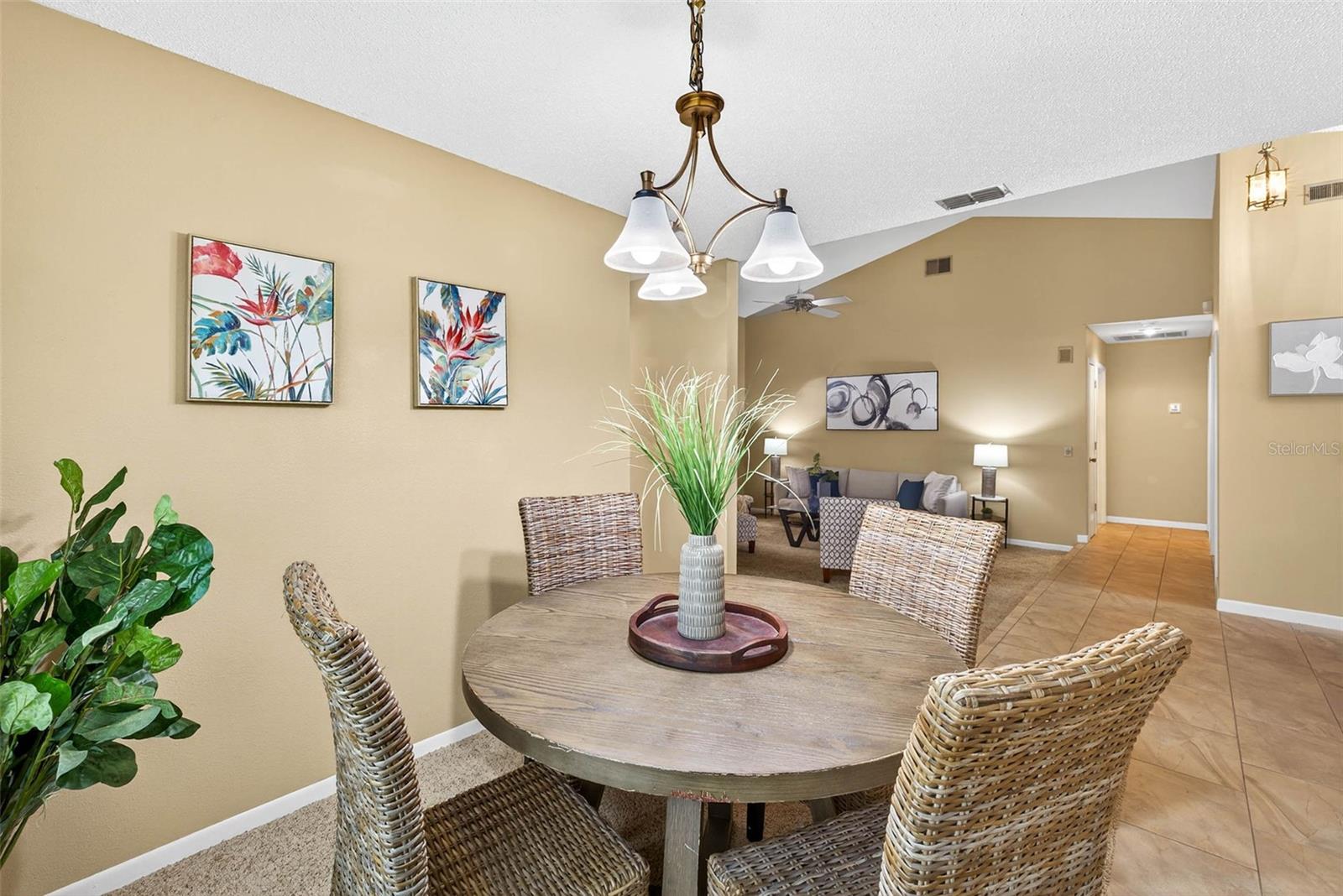 VISTA DEL RIO - Residential