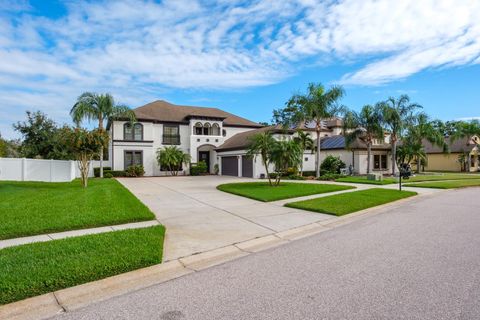 Photo of 22255 Oakville Drive, Land O Lakes, FL 34639 (MLS # TB8433508)