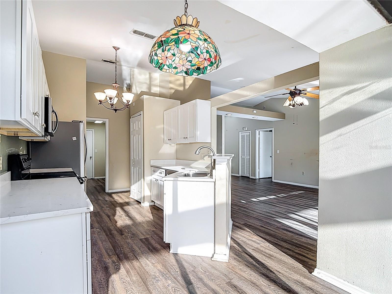 TURTLE LAKES - Residential