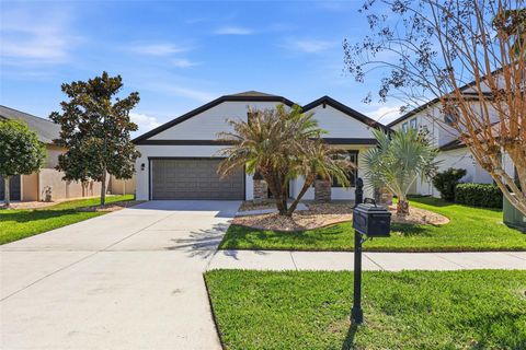 21486 BILLOWY JAUNT DR LAND O LAKES FL 34637