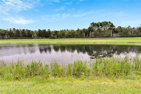 A home in WIMAUMA