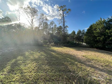 A home in DUNNELLON