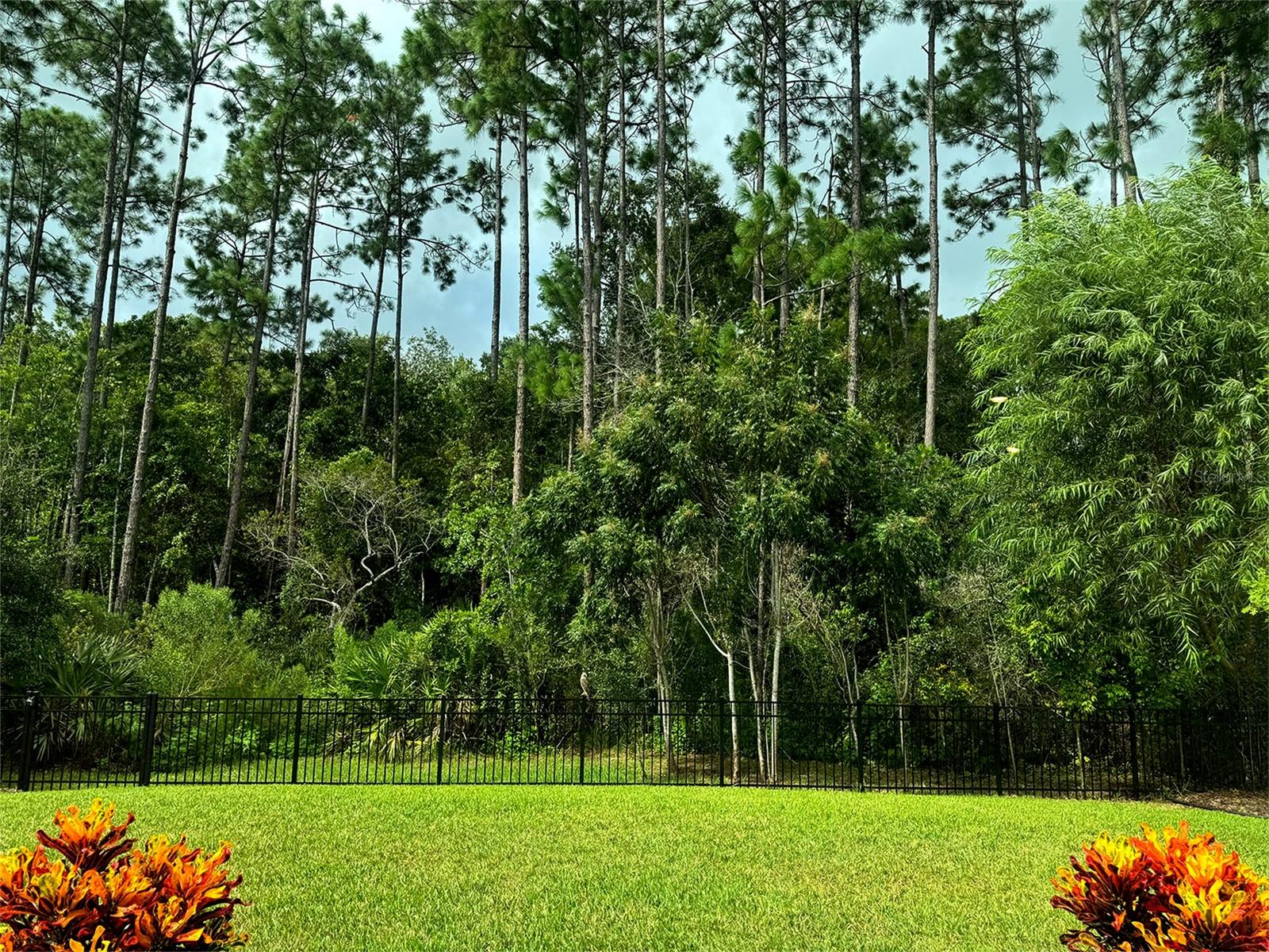 SAWMILL CRK/PALM COAST PARK - Residential