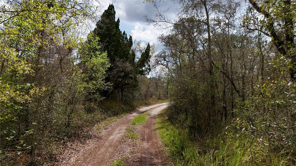 Photo of 12120 Phyllis Lane, Hudson, FL 34669 (MLS # TB8486512)