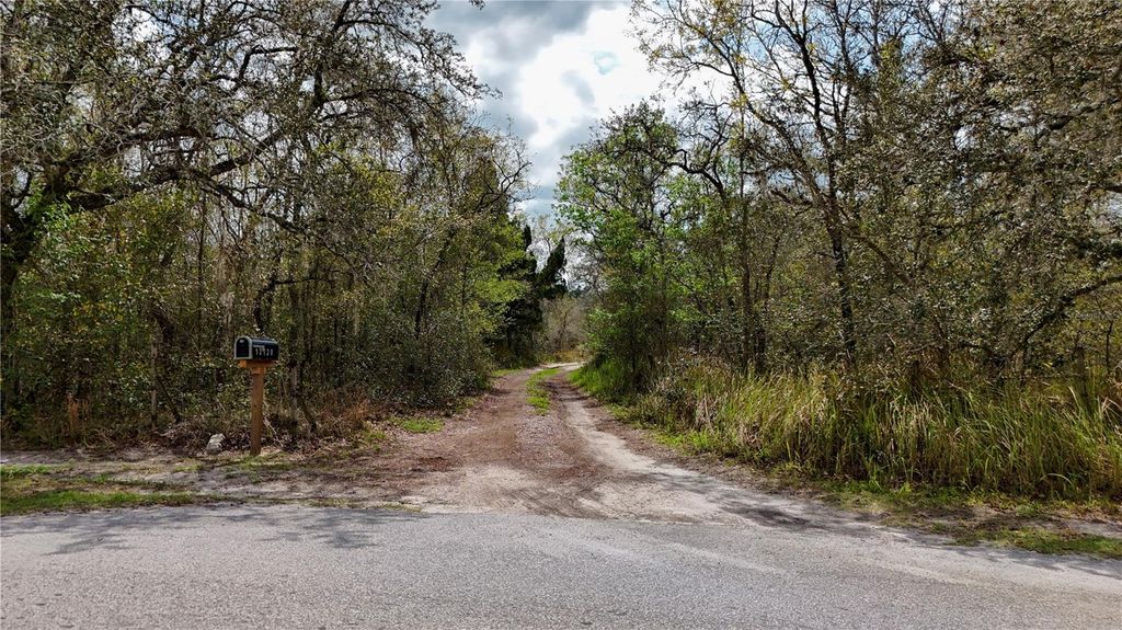 Photo of 12120 Phyllis Lane, Hudson, FL 34669 (MLS # TB8486512)