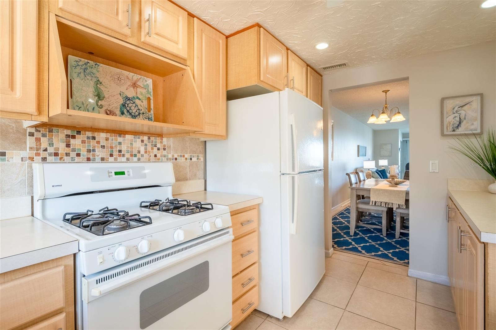 TOWN SHORES OF GULFPORT - Residential