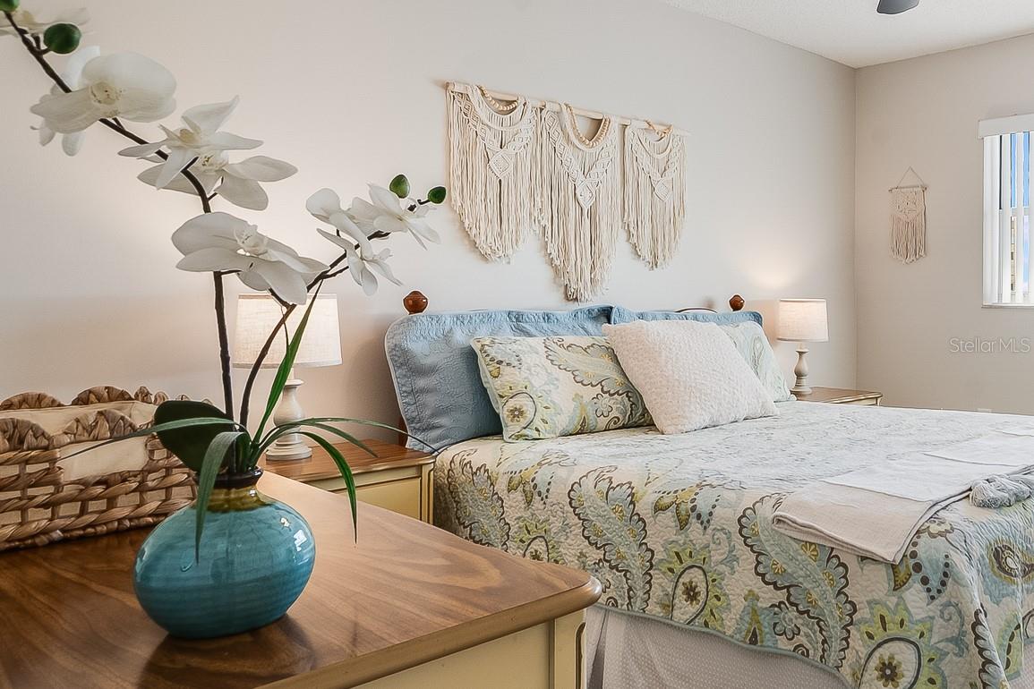 TOWN SHORES OF GULFPORT - Residential