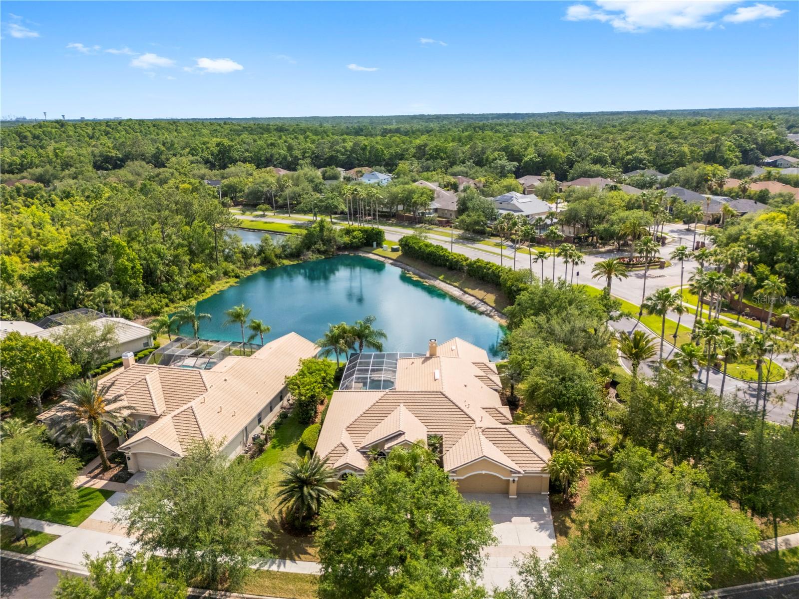 TAMPA PALMS AREA 4 PRCL 23 P - Residential