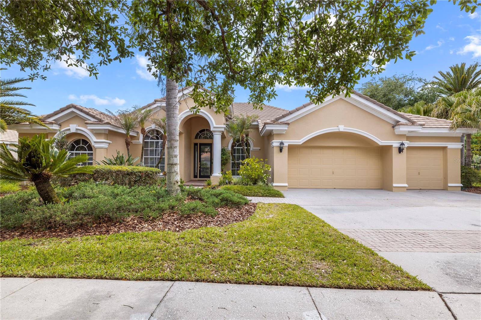 TAMPA PALMS AREA 4 PRCL 23 P - Residential