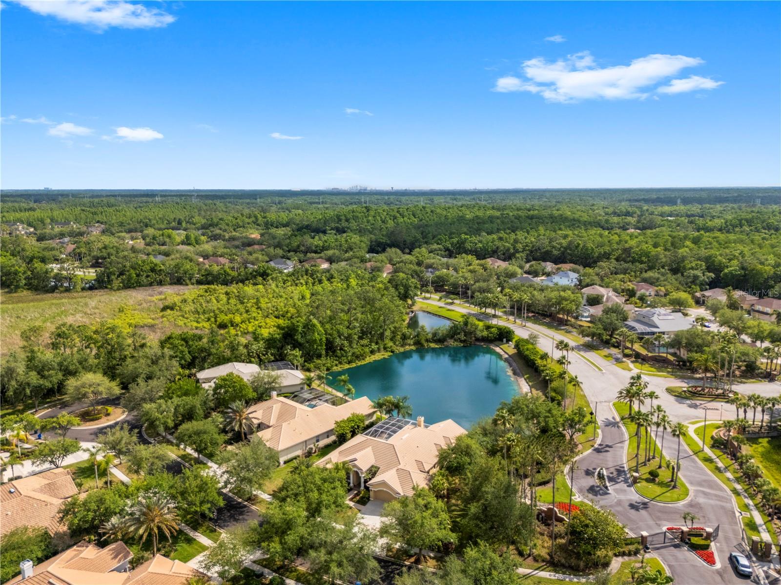 TAMPA PALMS AREA 4 PRCL 23 P - Residential