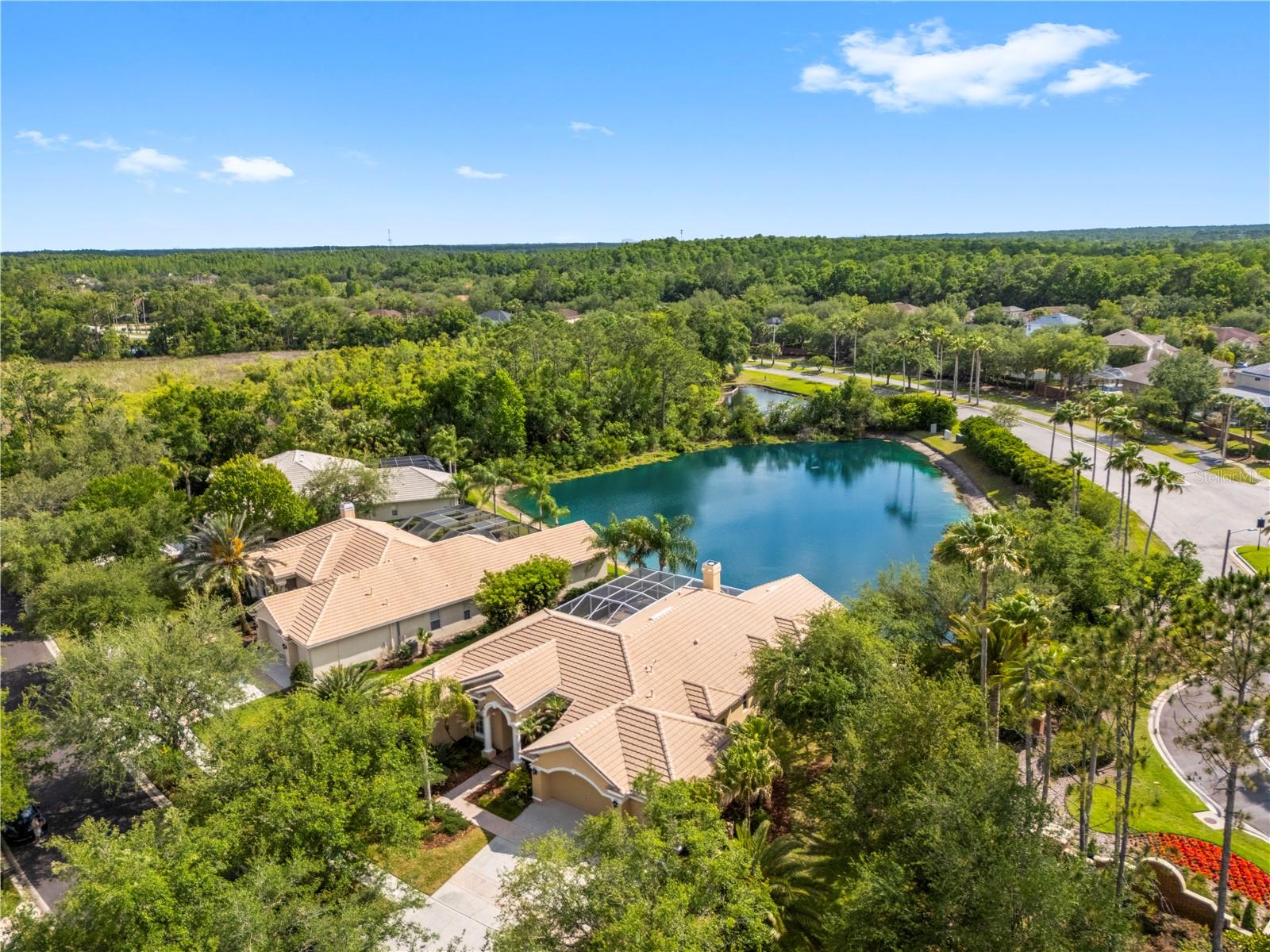 TAMPA PALMS AREA 4 PRCL 23 P - Residential