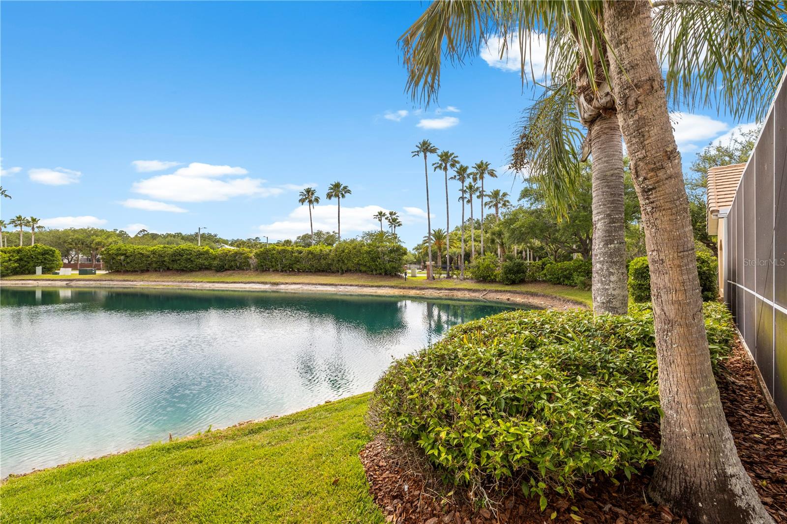TAMPA PALMS AREA 4 PRCL 23 P - Residential