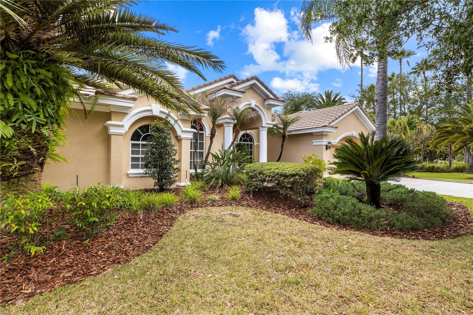 TAMPA PALMS AREA 4 PRCL 23 P - Residential