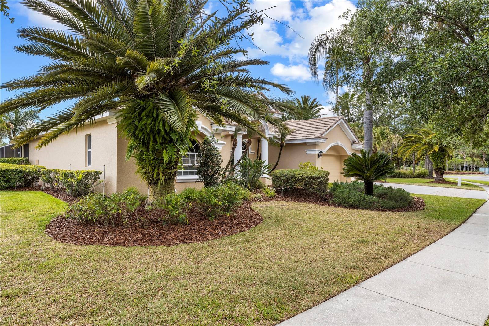 TAMPA PALMS AREA 4 PRCL 23 P - Residential