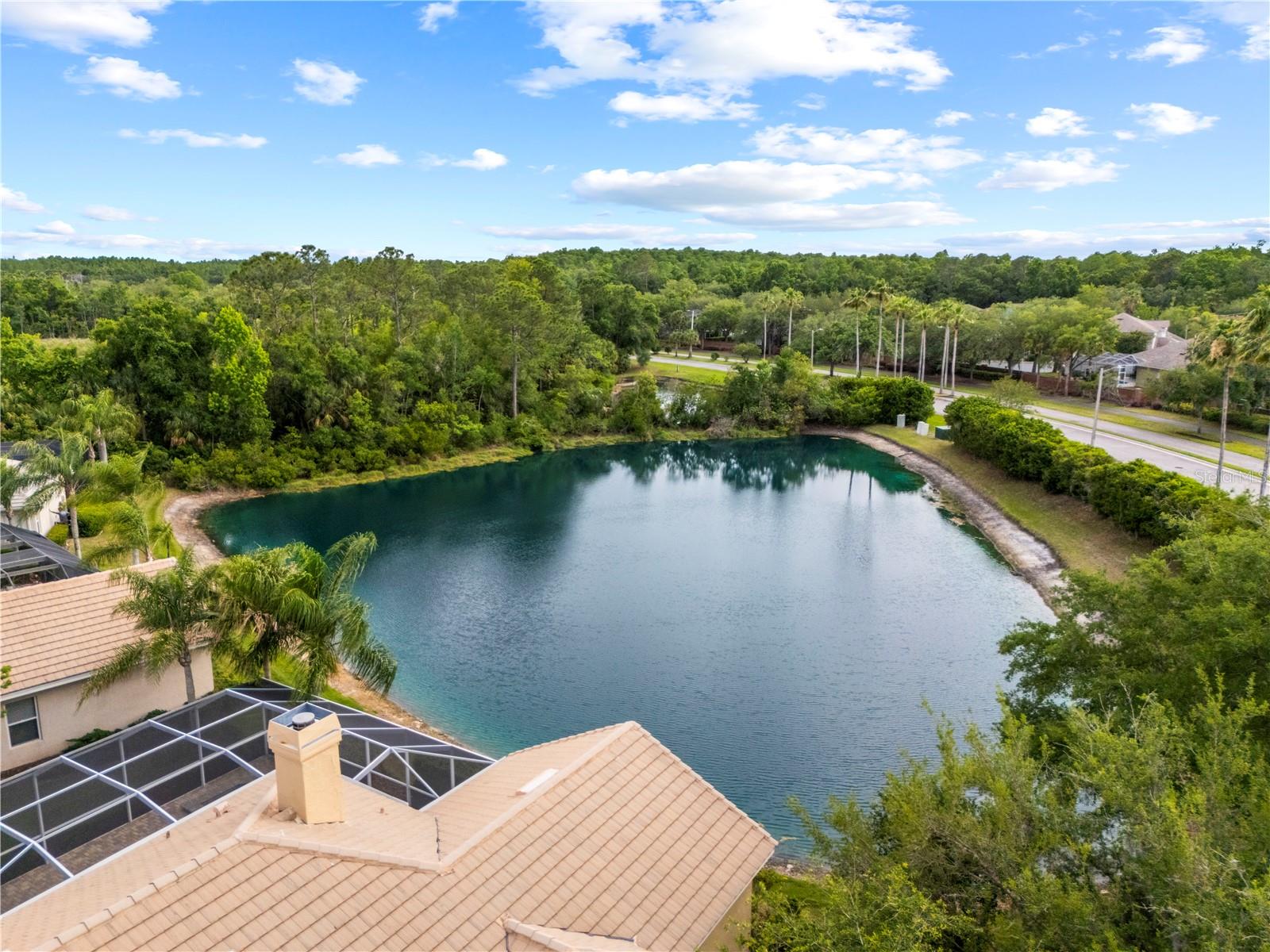 TAMPA PALMS AREA 4 PRCL 23 P - Residential