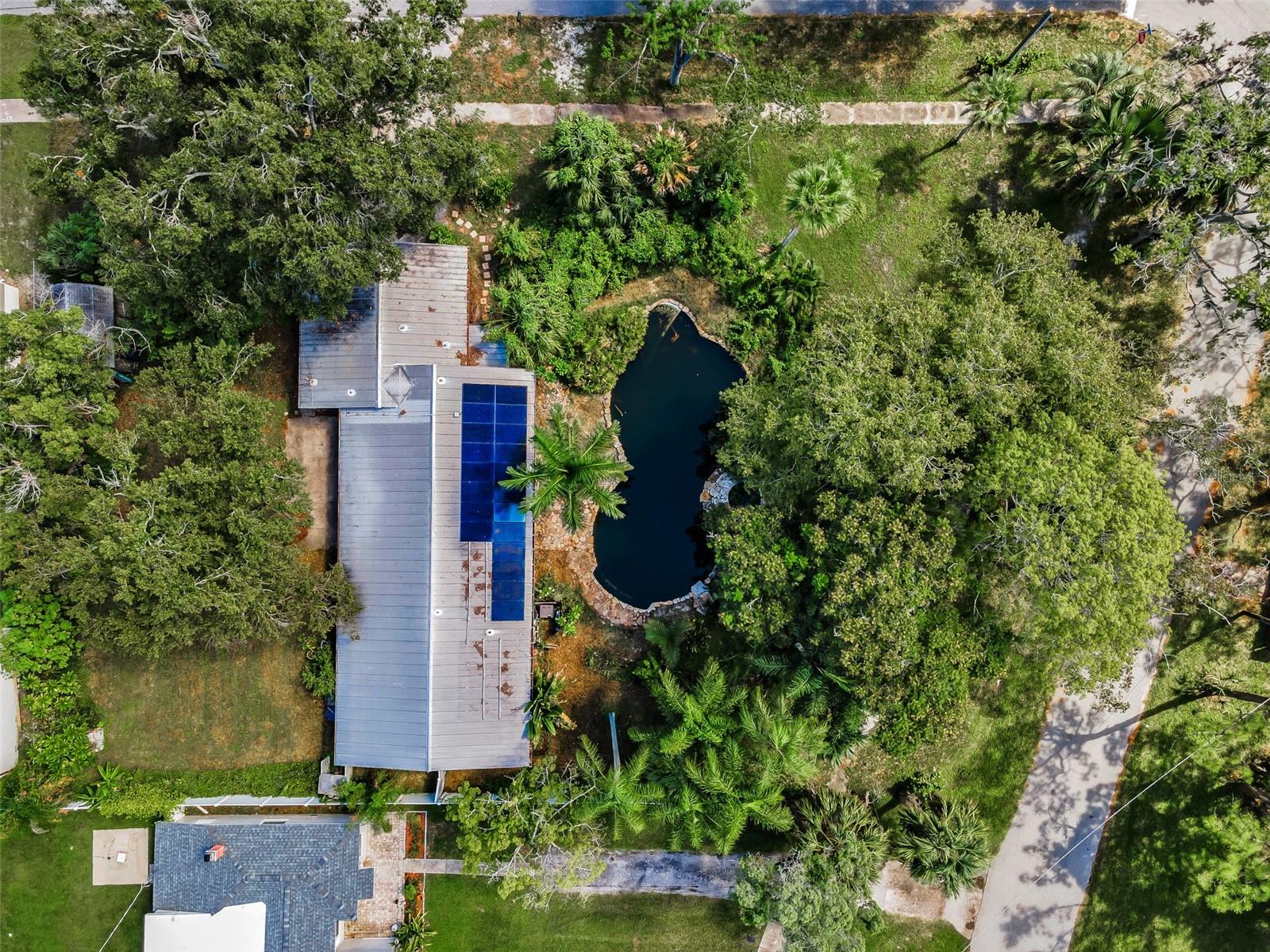 OLDSMAR REV MAP - Residential