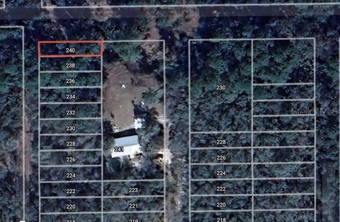 240 EUCLID AVENUE PALATKA FL 32177