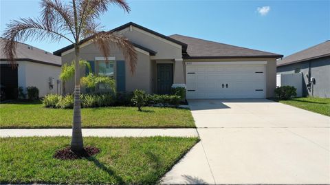 Photo of 10313 Scarlet Skimmer Drive, Riverview, FL 33578 (MLS # TB8484707)