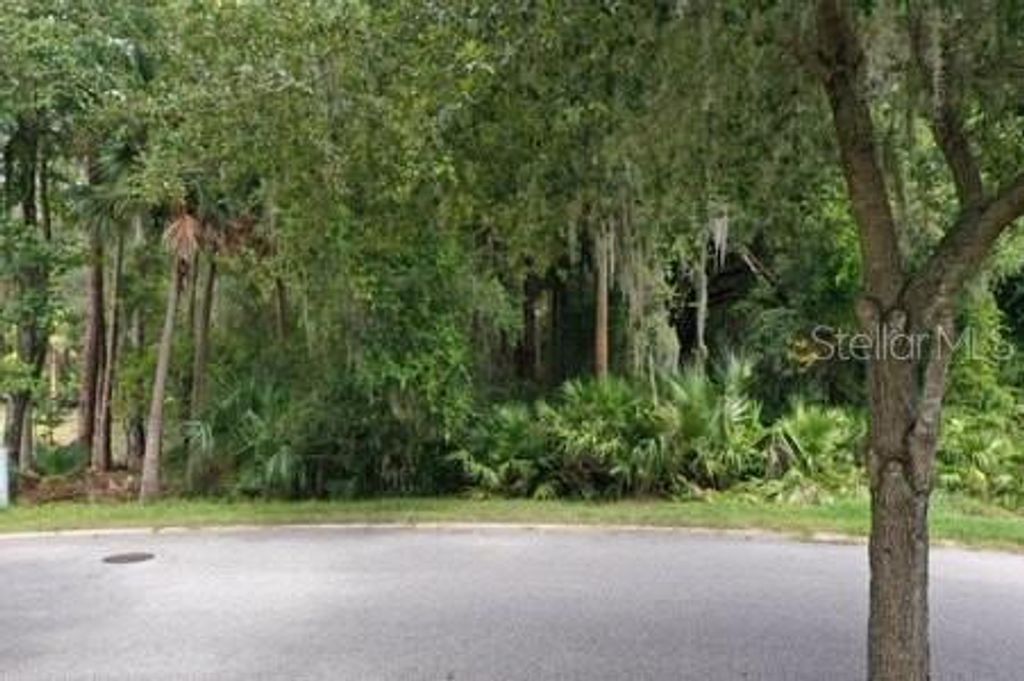 Photo of 165 Willow Oak Way, Palm Coast, FL 32137 (MLS # FC318868)