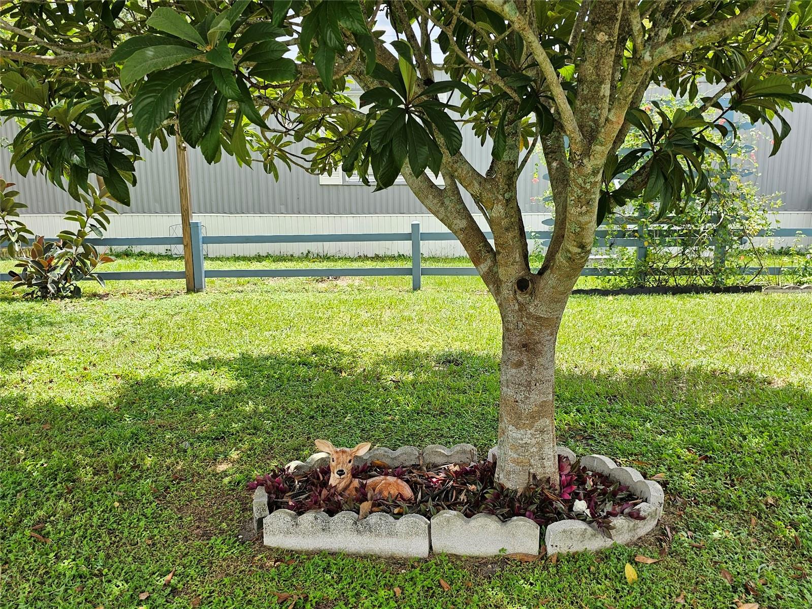 MARYDIA - Residential