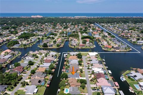 A home in PALM COAST