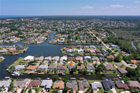 A home in PALM COAST