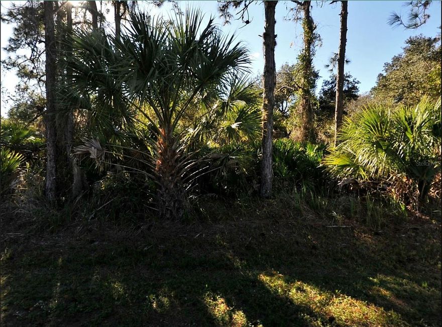 Standard building lot in North Port. Great location to Invest or build your dream home.  Short distance to shopping in North Port or Port Charlotte. Short distance to I-75, Exit 179, allowing for an easy commute to Sarasota or Fort Myers. Area of newer homes.