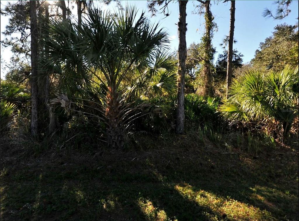 Photo of Lot 17 Ruiz Street, North Port, FL 34286 (MLS # C7506881)