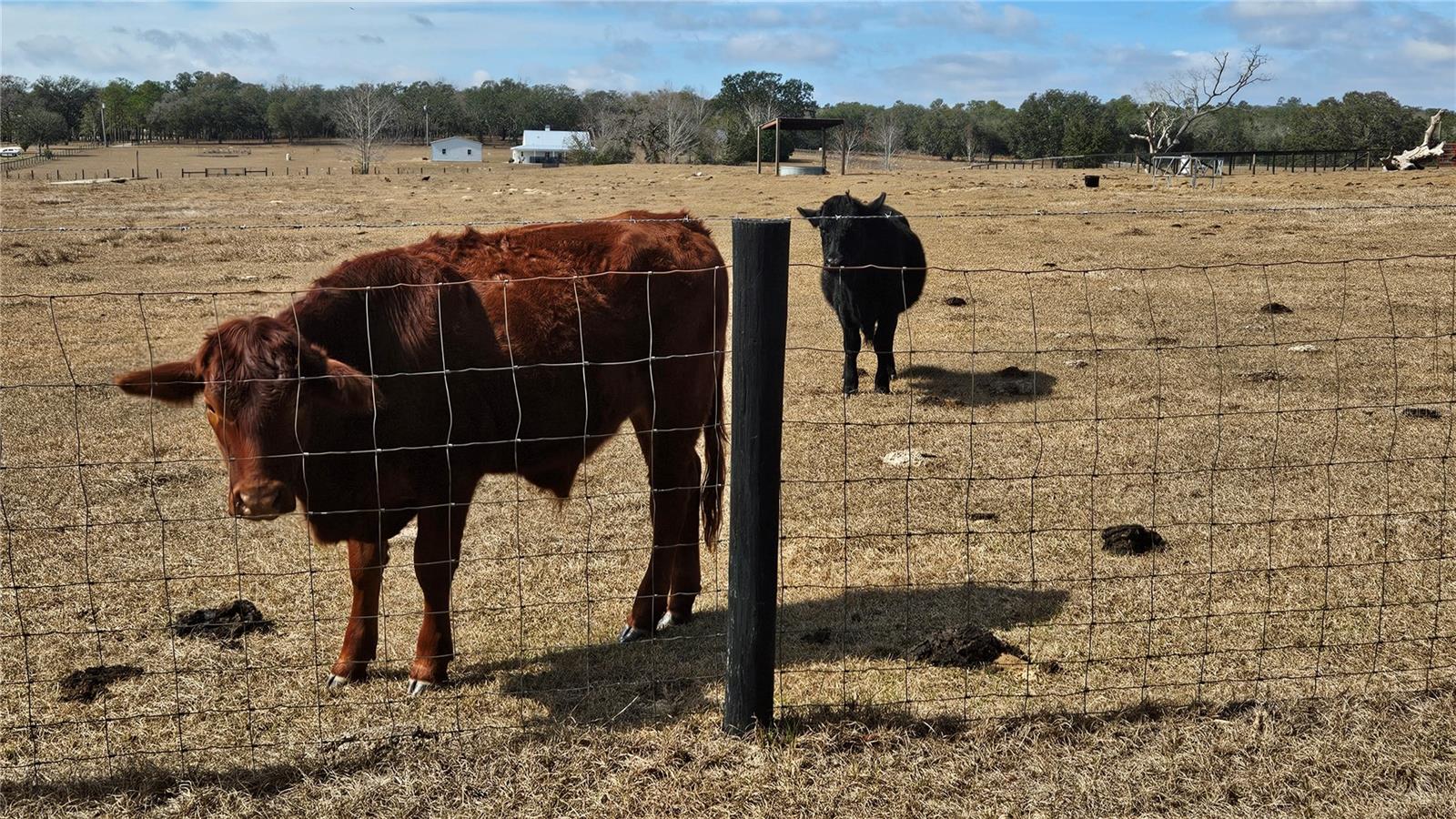 ROVAN FARMS UNREC SUB - Residential