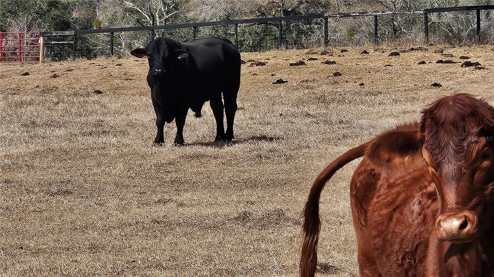 ROVAN FARMS UNREC SUB - Residential