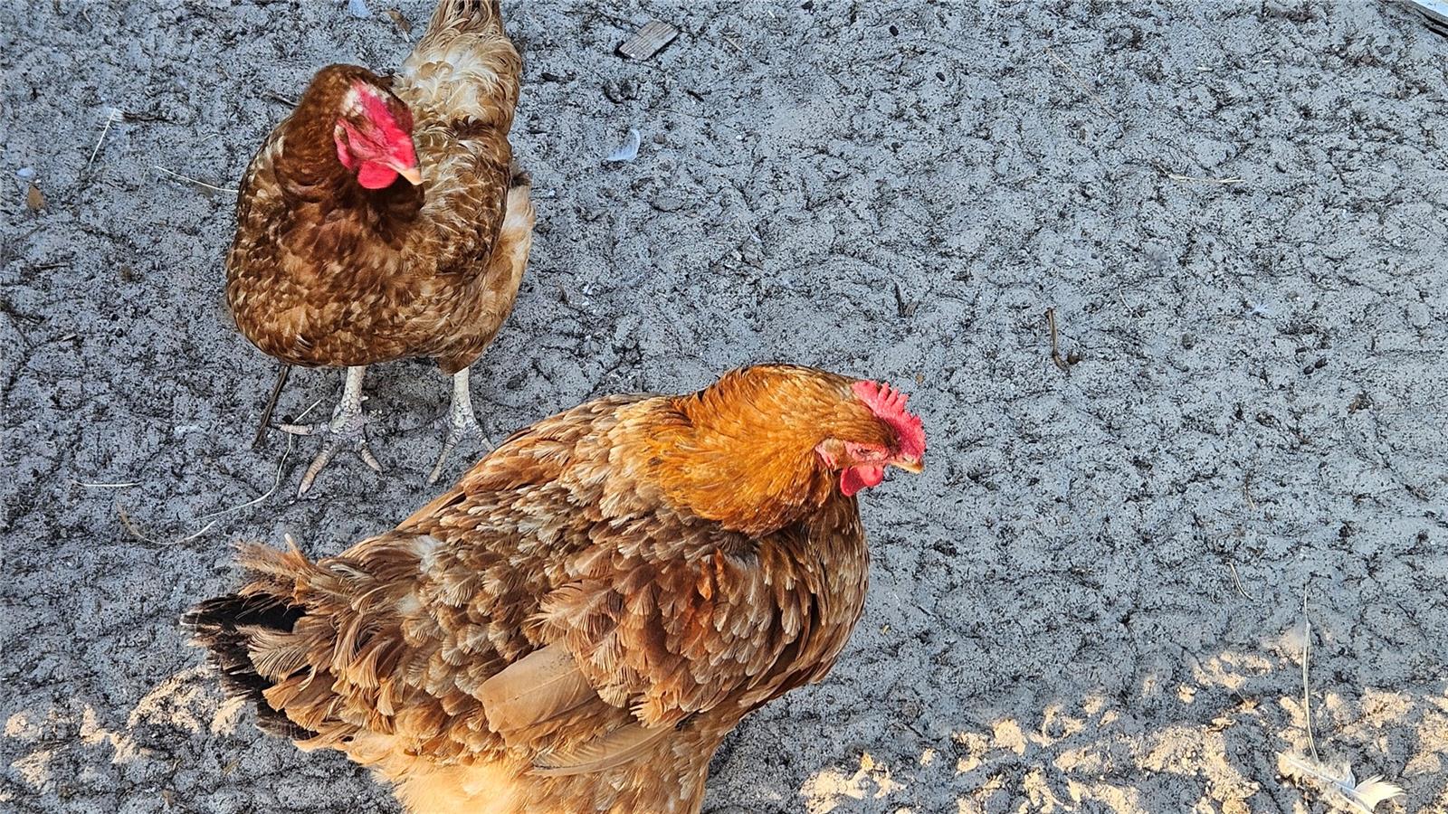 ROVAN FARMS UNREC SUB - Residential