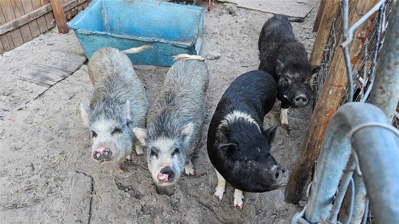 ROVAN FARMS UNREC SUB - Residential