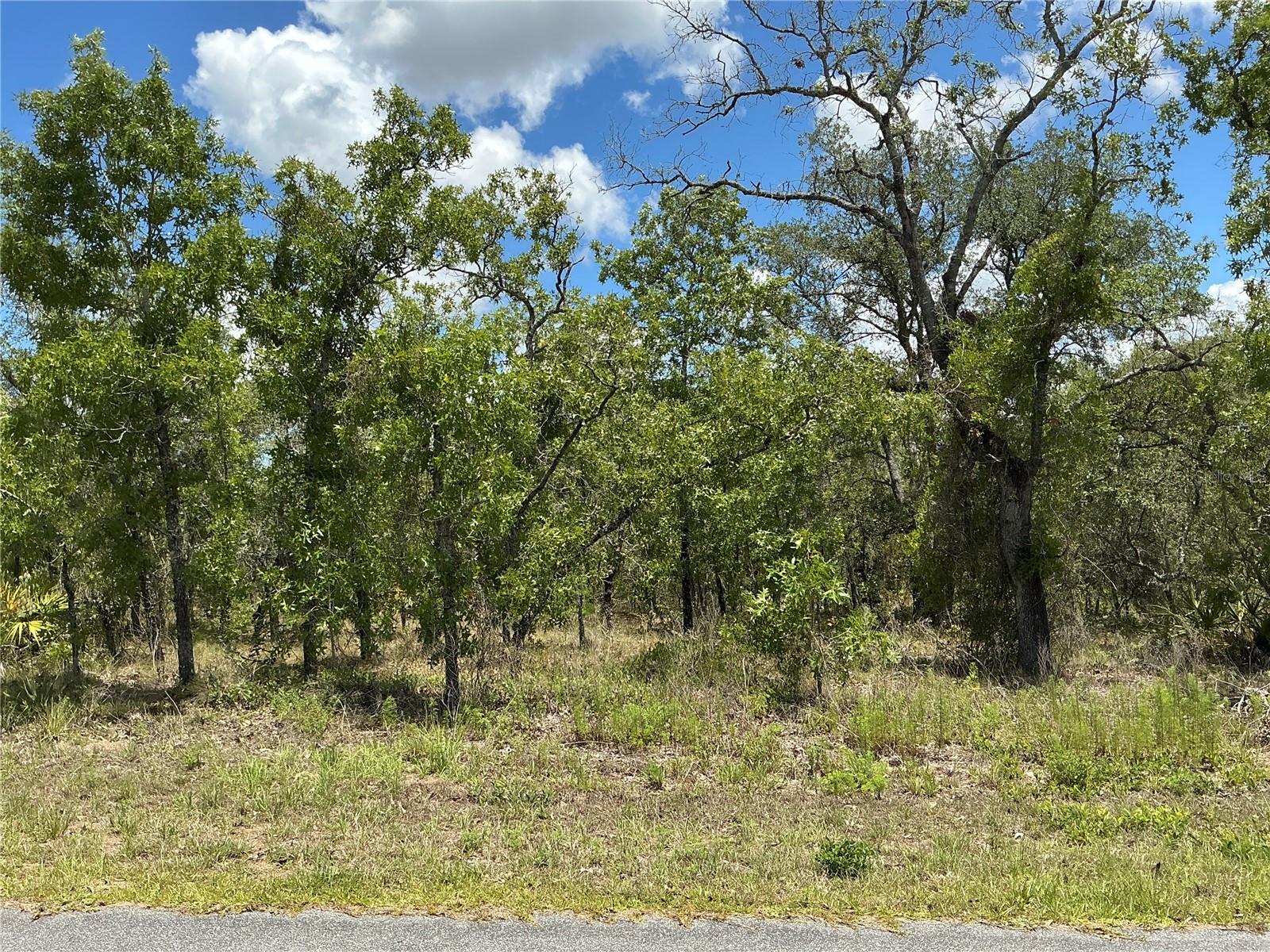 Situated in the heart of Weeki Wachee, this lot measures 100 by 200 feet, located outside the flood zone, with no wetlands and no endangered species, this lot is shovel-ready and primed for development. Royal Highlands - live in Weeki Wachee. Rural setting yet close enough to Spring Hill and Tampa via the Suncoast Hwy. Lots of new construction in the Royal Highlands subdivision, which is not in an HOA. Power, cable and internet are available. Down the street from Weeki Wachee Springs State Park where you can attend Swampfest or paddle scenic waterways. Only 10 minutes to the award winning World Woods Golf Club by Tom Fazio. 20 minutes to Withlacoochee State Forest that has 2600 acres of ATV riding trails. Royal Highlands is also an easy commute to nearby cities, just over an hour north of Tampa, 1.5 hours west of Orlando, and one hour from Ocala