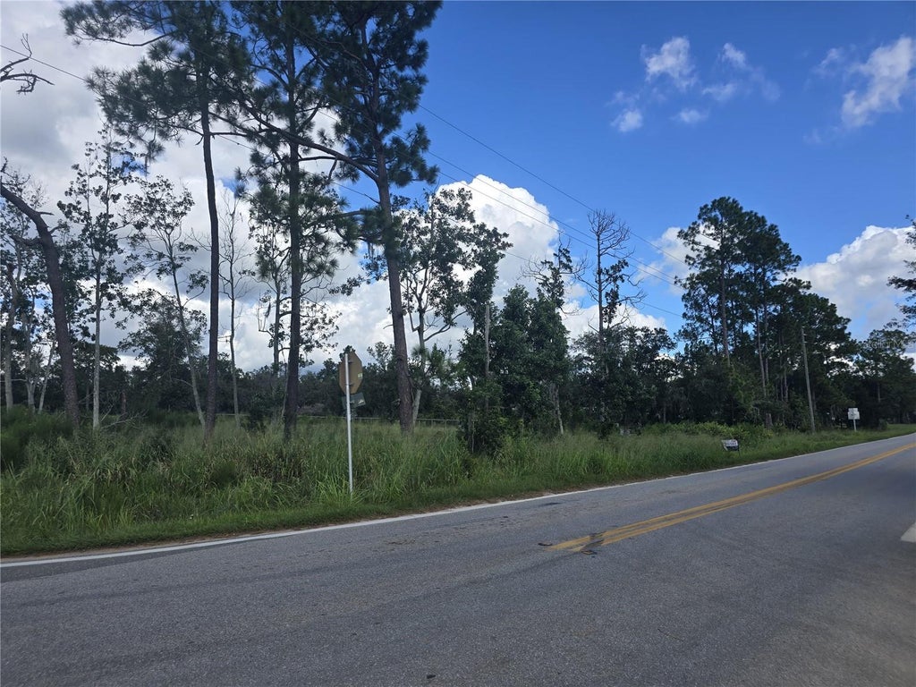 Photo of 2191 W Frostproof Road, Frostproof, FL 33843 (MLS # P4939997)