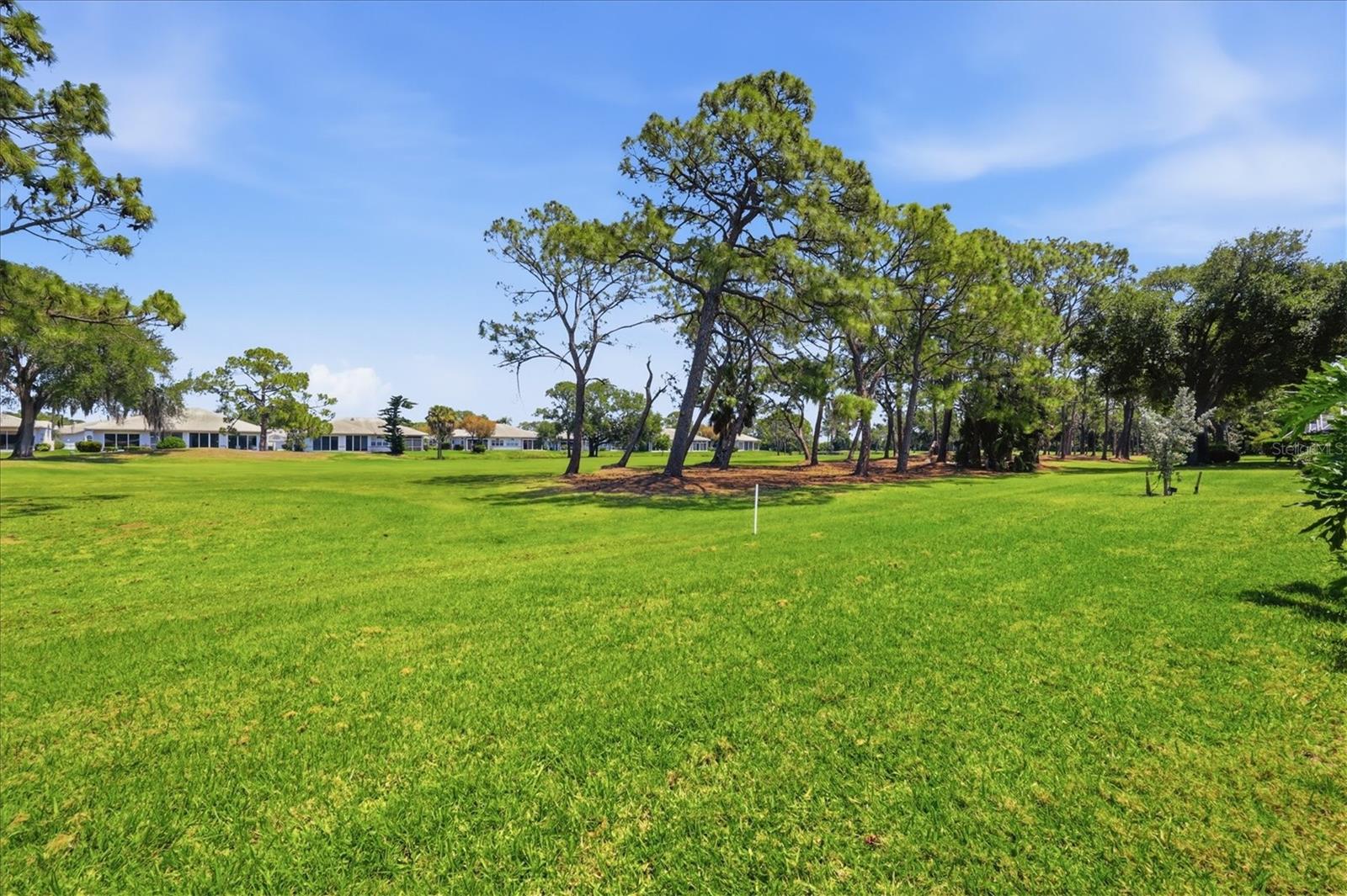 MEADOWS THE - Residential