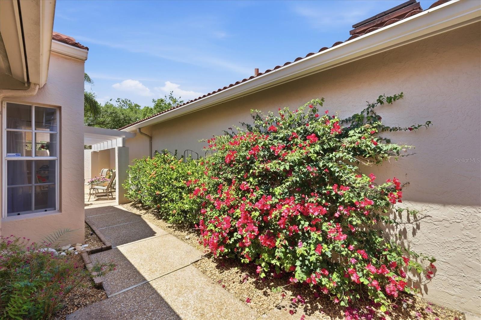 MEADOWS THE - Residential