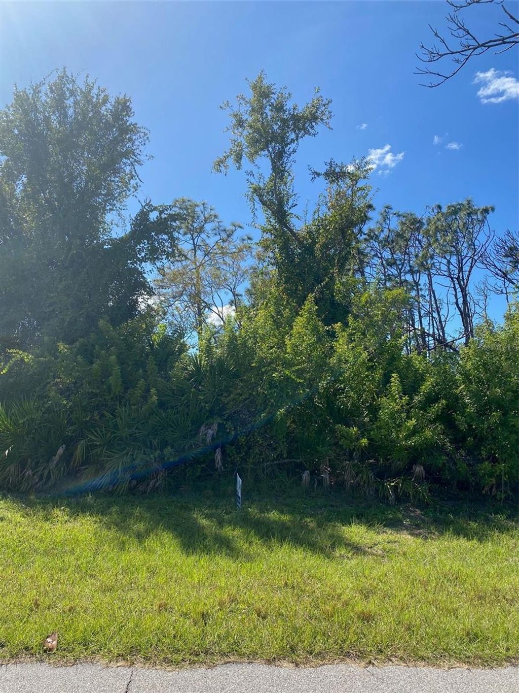 Photo of 119 Wahoo Drive, Rotonda West, FL 33947 (MLS # D6140477)