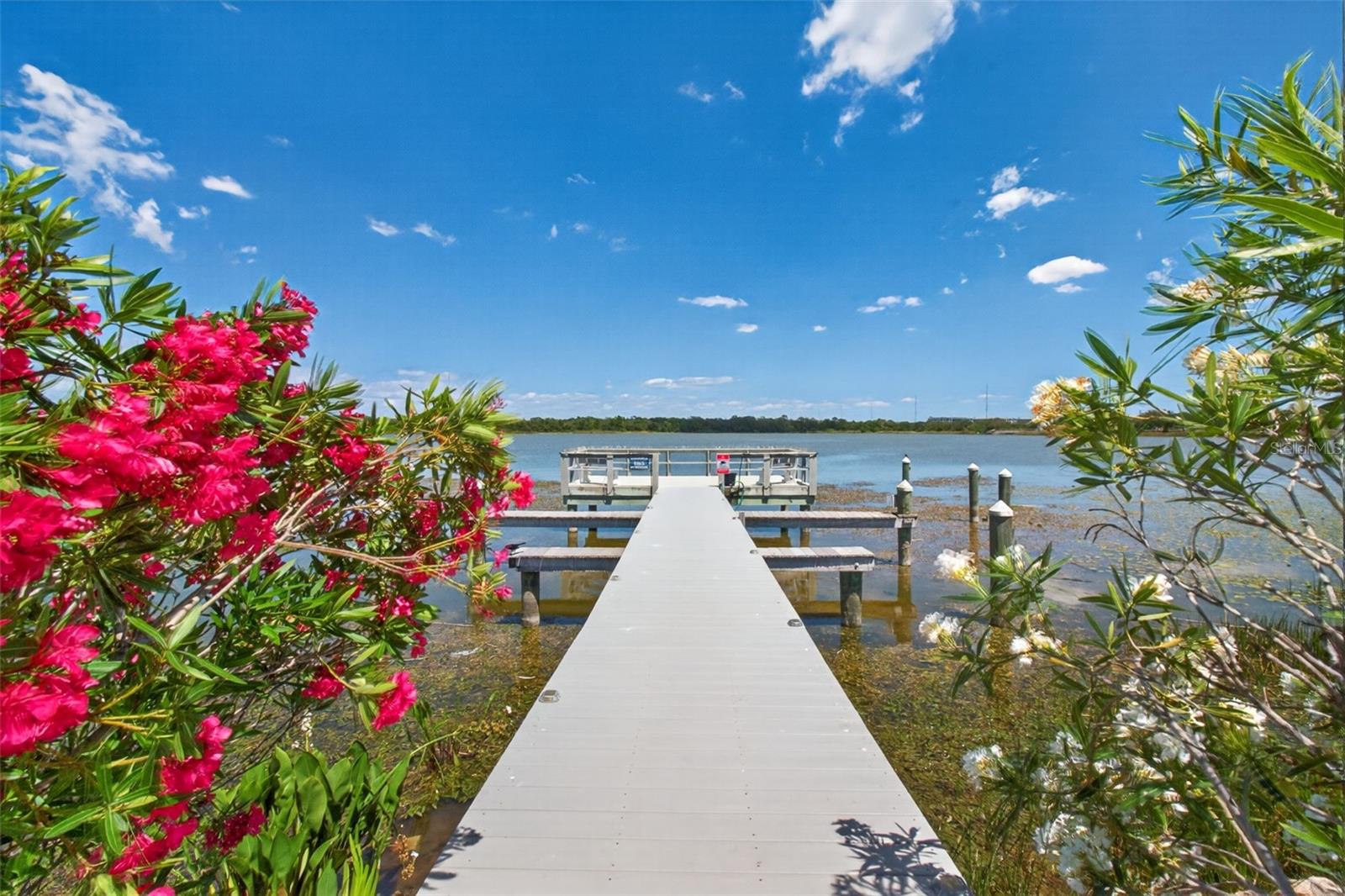 VILLAGE ON LAKE SEMINOLE CONDO THE - Residential