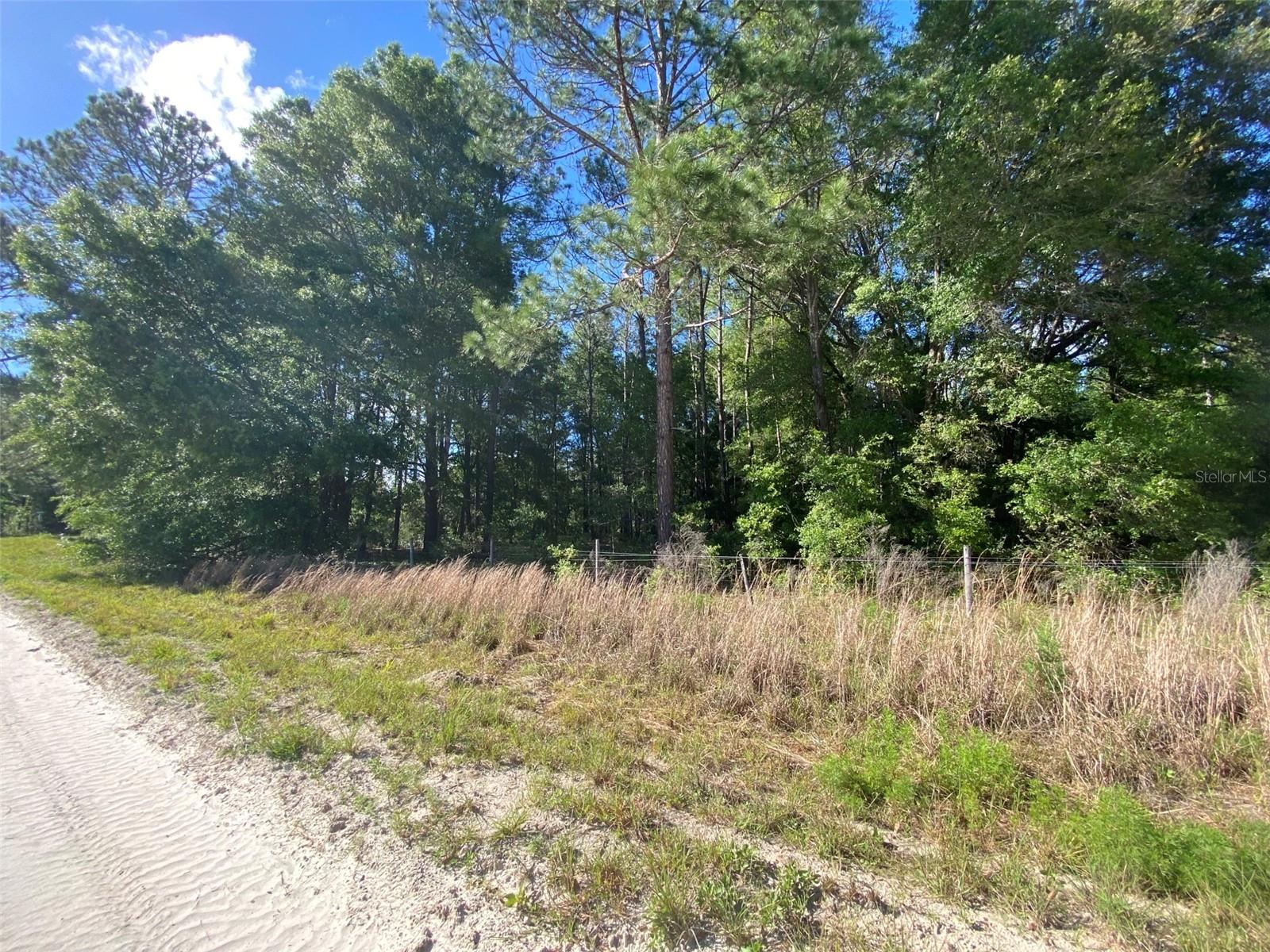 ARROW HEAD ACRES - Land