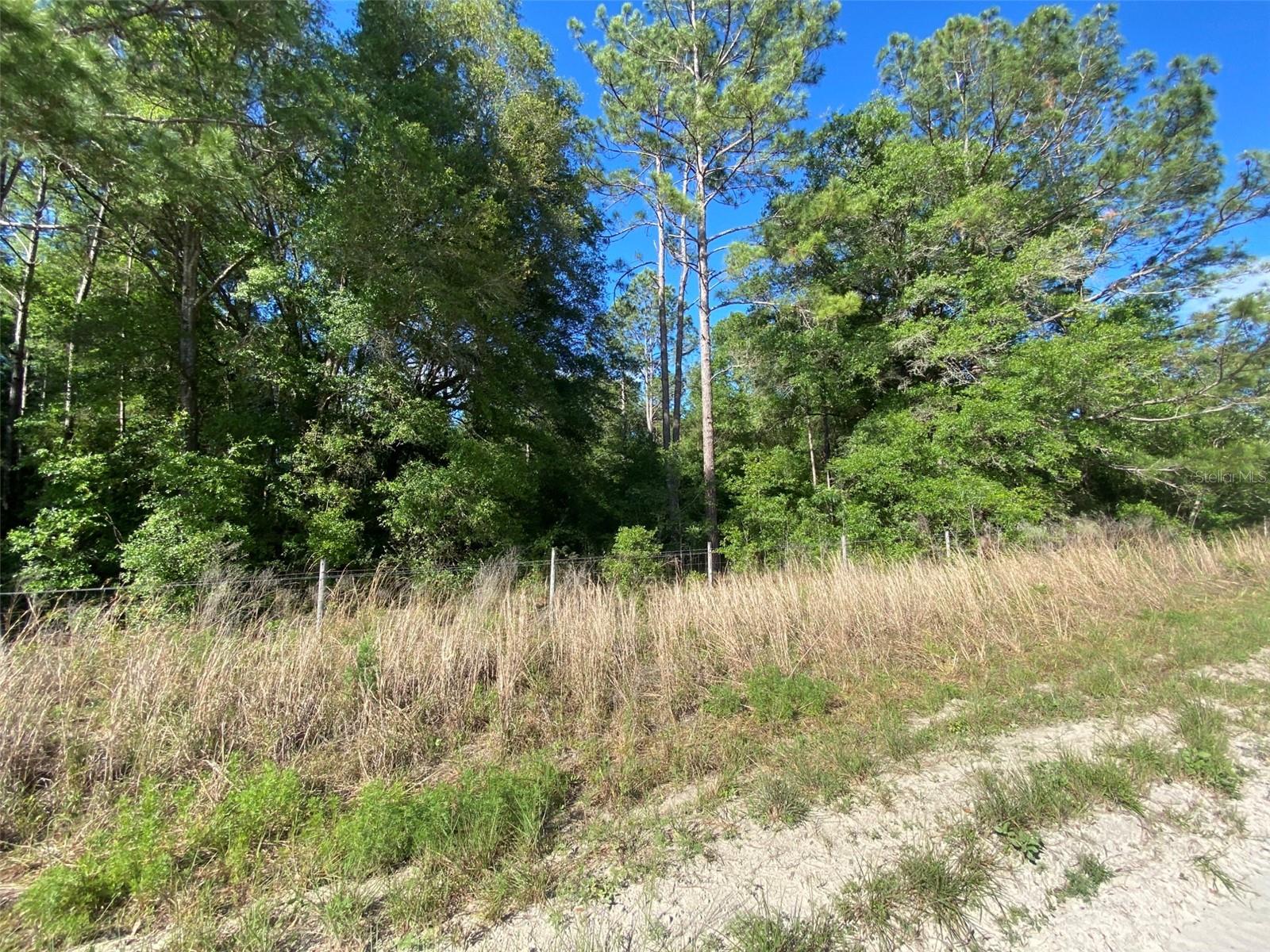 ARROW HEAD ACRES - Land