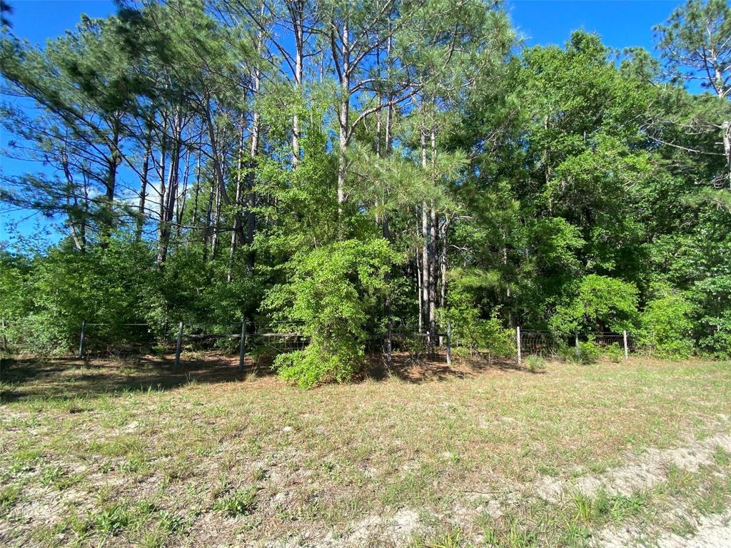 Photo of Tbd Beaver Street, Fort White, FL 32038 (MLS # GC536096)
