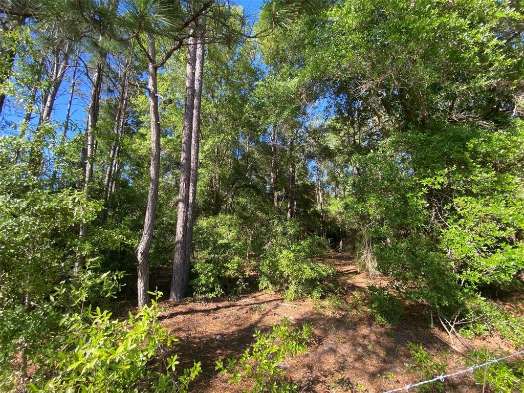 Photo of Tbd Beaver Street, Fort White, FL 32038 (MLS # GC536096)