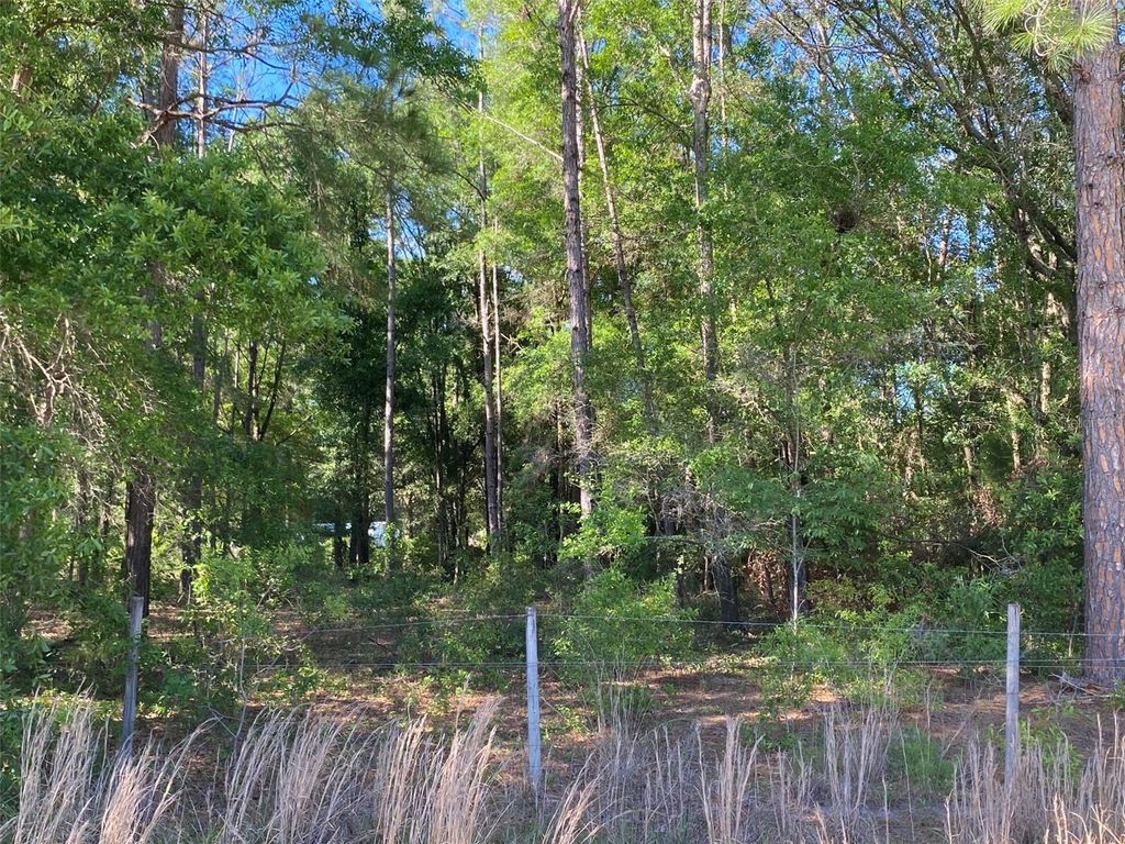 Photo of Tbd Beaver Street, Fort White, FL 32038 (MLS # GC536096)