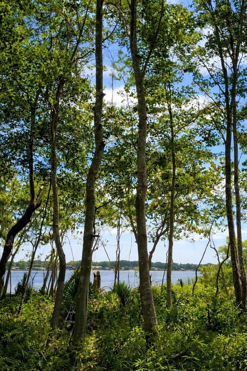 WYNDHAM ESTATES - Land